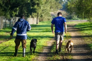 Stellenbosch Animal Welfare - photo bt Vuurtoring Media